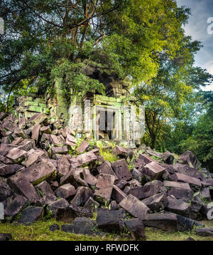 Beng Mealea ou Bung Mealea temple à matin. Siem Reap. Cambodge Banque D'Images