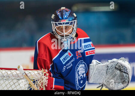 ZAGREB, CROATIE - 30 décembre 2018 : EBEL match ligue de hockey sur glace entre Medvescak Zagreb et KAC. Gardien de but de hockey. Banque D'Images