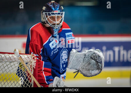 ZAGREB, CROATIE - 30 décembre 2018 : EBEL match ligue de hockey sur glace entre Medvescak Zagreb et KAC. Gardien de but de hockey. Banque D'Images