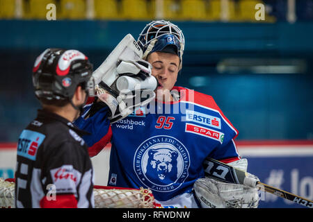 ZAGREB, CROATIE - 30 décembre 2018 : EBEL match ligue de hockey sur glace entre Medvescak Zagreb et KAC. Gardien de but de hockey. Banque D'Images