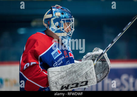 ZAGREB, CROATIE - 30 décembre 2018 : EBEL match ligue de hockey sur glace entre Medvescak Zagreb et KAC. Gardien de but de hockey. Banque D'Images