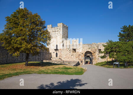 Diadar Tower, Forteresse de Belgrade, parc de Kalemegdan, Belgrade, Serbie, Europe Banque D'Images