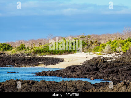 Paysage de la région de la colline du Dragon, Santa Cruz (Indefatigable), l'île de Galapagos, UNESCO World Heritage Site, Equateur, Amérique du Sud Banque D'Images