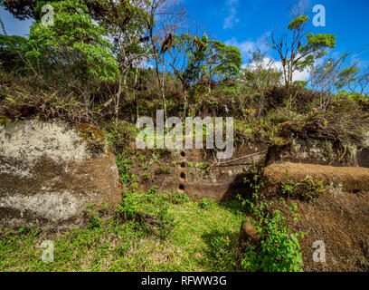 Labyrinthe de roche, l'Asilo de la Paz, hauts plateaux de l'Île Floreana (Charles), Galapagos, UNESCO World Heritage Site, Equateur, Amérique du Sud Banque D'Images