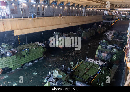 190116-N-HD110-0057 de l'OCÉAN PACIFIQUE (jan. 16, 2019) Les véhicules amphibies d'assaut jointe à l'Équipe de débarquement du bataillon du 3e Bataillon, 5e Régiment de Marines, 11e Marine Expeditionary Unit veille pour quitter le pont du coffre de la classe-Harpers Ferry landing ship dock amphibie USS Harpers Ferry (LSD 49) pendant un exercice d'entraînement. Harpers Ferry est en cours, la réalisation des opérations de routine dans le cadre d'un groupe amphibie USS Boxer (ARG) dans l'océan Pacifique. (U.S. Photo par marine Spécialiste de la communication de masse 3 Classe Danielle A. Baker) Banque D'Images