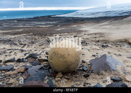 Sphère de pierre géant, du champ, de l'île de l'archipel François-Joseph, Oblast d'Arkhangelsk, de l'Arctique, la Russie, l'Europe Banque D'Images