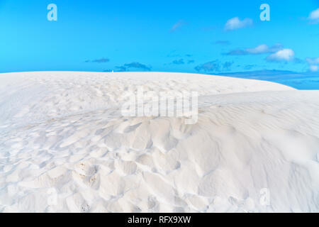 Comme le désert de dunes de sable blanc de Lancelin, dans l'ouest de l'Australie Banque D'Images