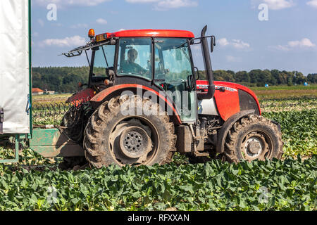 Tracteur Zetor travaillant à la ferme, travail saisonnier, République tchèque agriculture agriculteur champ de tracteur Banque D'Images
