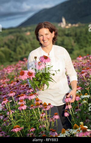 Du vrai agriculteur femme en champ d'échinacée Banque D'Images