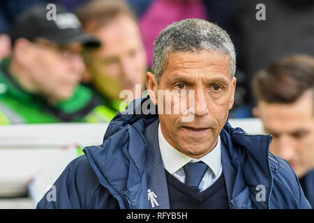 26 janvier 2019, Falmer Stadium, Brighton, Angleterre ; l'unis en FA Cup, 4ème tour, Brighton contre West Bromwich Albion ; Chris Hughton Manager de Brighton Crédit : Phil Westlake/News Images images Ligue de football anglais sont soumis à licence DataCo Banque D'Images