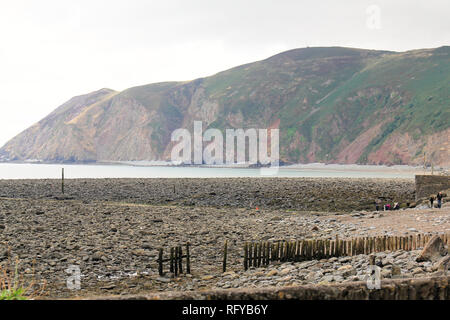 Lynmouth dans l'été. Vue sur la baie de Lynmouth, Devon, Angleterre. Banque D'Images