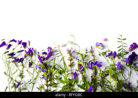 Arrangement de fleurs sauvages avec copie espace sur fond blanc Banque D'Images