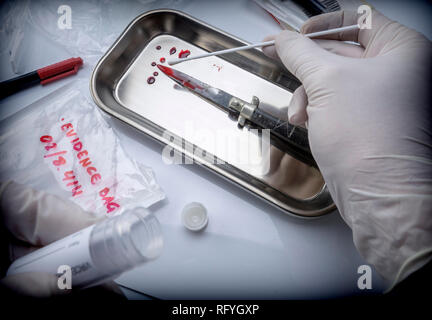 Tests de scientifique examine arme blanche de la criminalité dans un laboratoire, conceptual image Banque D'Images