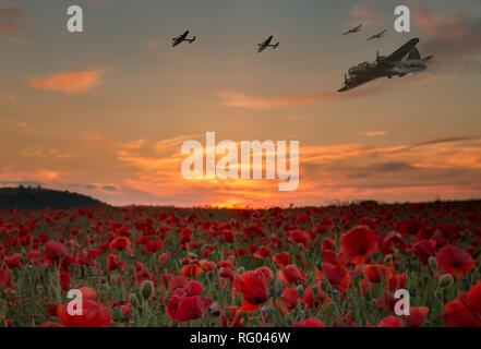 N'oublions jamais,scène de bombardiers survolant un champ de pavot alors que le soleil se couche, le jour du Souvenir et de l'ANZAC day. Banque D'Images