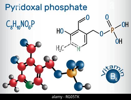 Le pyridoxal phosphate (PLP, le pyridoxal 5'-phosphate, P5P), de la vitamine B6, est un coenzyme. Formule chimique structurale et molécule modèle. Vector illustration Illustration de Vecteur