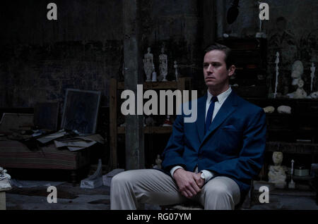 Film Original title : PORTRAIT FINAL. Titre en anglais : PORTRAIT FINAL. Année : 2017. Directeur : Stanley Tucci. Stars : ARMIE HAMMER. Credit : OLIVE PRODUCTIONS/ALIMENTAIRE PRODUCTIONS/RIVERSTONE PHOTOS / Album Banque D'Images