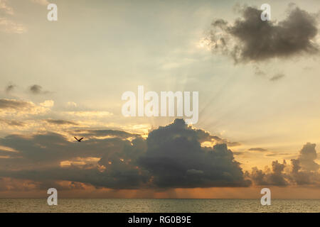 Ciel coucher de soleil spectaculaire, fantastique, belle fond naturel. Coucher de soleil illumine les nuages Banque D'Images