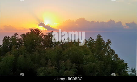 Coucher du soleil sur l'île de la réunion avec des arbres en premier plan Banque D'Images