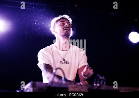 Danemark, copenhague - 24 janvier 2019. Le musicien danois, DJ et producteur de musique Faustix effectue un concert live à KB Hallen à Copenhague. (Photo crédit : Gonzales Photo - Peter Troest). Banque D'Images