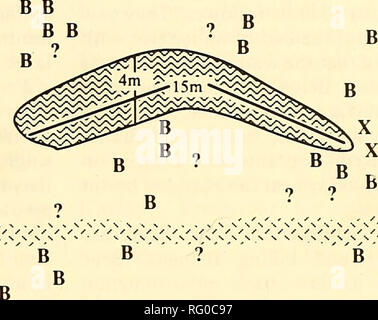 . La Canadian field-naturaliste. 1987 LowRY, brûlures, et Nelson : la prédation de l'ours polaire , 143 .&lt;W^' â X B ,^^ ^ B 9.v^5 :-''b b. b-carcasse beluga beluga probable 7-x-carcasse de l'ours polaire C^ -ICE -Eau -RIDGES Figure 2. Schéma de la zone où les ours polaires tués bélugas dans la nord de la mer de Béring, avril 1984. beaucoup des piégeages, et jusqu'à sept baleines mortes ont été vus. Le 15 mai 1979, dans le nord-est de la mer de Chukchi, près de Point Barrow (71 Â°01'N, 157Â° 25'W), Don K. Ljungblad (communication personnelle) a vu quatre ours polaires, dont deux ont été se nourrissant d'une carcasse de béluga, tandis qu'un troisième a été pul Banque D'Images