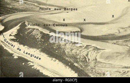 . La Canadian field-naturaliste. 1974 Ling et al. : Les phoques gris et les Phoques communs 463. ^M ai Figure 2. Vue aérienne du Grand Barachois à la recherche et de l'ouest montrant localités mentionnées dans le texte principal et les échoueries de phoques (X). Juin lorsque les trois auteurs ont été à l'aire d'étude. Les trois autres les périodes d'étude ont été 27 juin au 16 juillet, 19 juillet au 6 août, et du 28 août au 3 septembre, alors que seulement deux des auteurs (CEB et BAE) ont visité la région. Les observations ont été effectuées sur des terres et en bateau. Le camp de base pour la zone d'étude a été créée dans l'un d'un groupe de cabanes érigées à Pointe aux barges par th Banque D'Images