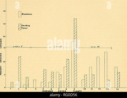 . La Canadian field-naturaliste. 1972 379 Notes. 7 8 COUVERCLE 9 10 Plantes Figure 1. La couverture du sol des dépenses. Les plantes couvre-sol sont 1-Lichens, Mousses, 3-2-pin au sol (Lycopodium spp.), 4-{Prêle Equisetum spp.), 5-(Vaccinium angustifolium), 6-Sar- saparilla (Aralia nudicaulis), 7-{Cornouiller Cornus canadensis), 8-Les herbes (graminées), 9-Aster (Aster macrophyllus), lO-fougère (Pteridium aquilinum), arbustes et plants 11-12, vert des arbres tombés, 13-framboise (Rubus strigosus), 14-divers. et que les juvéniles sont enfoncés dans le pré moins cédé en chablis. Acknowledgem Banque D'Images