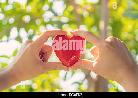 Woman hand holding red heart forme sur fond naturel vert dans le jardin piscine Banque D'Images