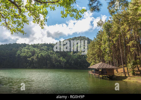 Pang Ung les plantations forestières, province de Mae Hong Son, Thaïlande. Banque D'Images