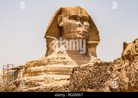 Grand Sphinx égyptien portrait full body head,avec pyramides de Gizeh Égypte fond vide avec personne copy space Banque D'Images