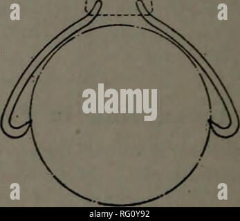 . Industries canadiennes forestières 1911. L'exploitation forestière ; les forêts et la foresterie ; Produits forestiers ; l'industrie de pâte de bois ; industries du bois. 34 CANADA LUMBERMANANDWOODWORKER et la presse, l'aide nécessaire pour obtenir les facettes de la machine d'encollage et d'obtenir le ciment prêt à l'emploi, la main-d'œuvre nécessaire pour prendre les panneaux de la salle de colle, et la moitié de l'heure du contremaître. Cela nous donne un coût moyen de 3 $ par 1 000 pieds carrés pour la colle sur un travail à trois épaisseurs de bord. Prix de la colle. Nous avons encore un autre élément à considérer dans le prix, qui est le coût de la colle. C'est un élément qui varie Banque D'Images