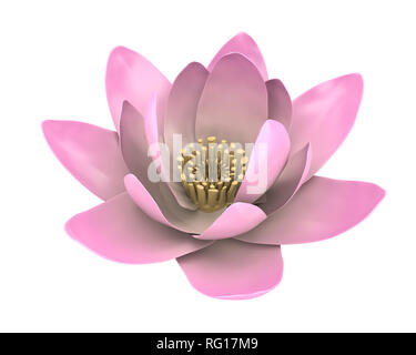 Lotus rose Flower Isolated Banque D'Images