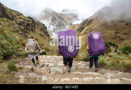 Vue imprenable sur le paysage andin a la suite du célèbre sentier de randonnée Sentier des Incas au Pérou, à travers un paysage de forêt de nuages mystérieux Banque D'Images