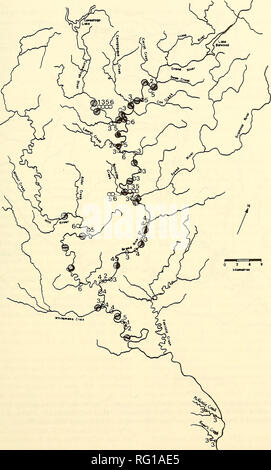 . La Canadian field-naturaliste. 1988 Baldwin : Mise à jour de statut de Méné miroir 151. La figure 4. La distribution de l'argent, Notropis photogenis, dans le bassin hydrographique de la rivière Grand de l'Ontario (modification de Baldwin, 1983). Symboles : © Baldwin (1983) ; o les collections par : (1) Musée National des Sciences Naturelles ; (2) Musée royal de l'Ontario ; (3) Ministère des Ressources naturelles de l'Ontario ; (4) Grand River Conservation Authority ; (5) Parker et McKee (1980) ; (6) l'Université Wilfred Laurier.. Veuillez noter que ces images sont extraites de la page numérisée des images qui peuvent avoir été retouchées numériquement pour plus de lisibilité - co Banque D'Images