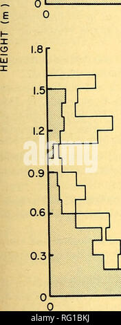 . La Canadian field-naturaliste. 1980 Newton et al. : effets sur les habitudes arboricoles campagnols Souris 169 1,5 1,2- 0,9- 0,6 0,3-  j avec Microtus I I sans Microtus. B 20 X NOMBRE PISTES / CARD 30 Figure 2. A, la répartition verticale des Wiiite-aux pieds des pistes de la souris dans la cage d'essai avant et après l'introduction de campagnols. B, comme en a, à partir de données recueillies dans une expérience antérieure (voir Discussion). activité appuient la conclusion que la souris à pattes blanches n'ont pas répondu à des campagnols des champs par l'utilisation croissante d'habitat arboricole. Premièrement, même si un test de signif- icance de la tendance à la baisse de la voie-hauteur distri Banque D'Images