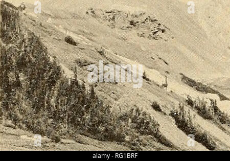 . La Canadian field-naturaliste. 370 Le Canadian Field-Naturalist Vol. 91. Veuillez noter que ces images sont extraites de la page numérisée des images qui peuvent avoir été retouchées numériquement pour plus de lisibilité - coloration et l'aspect de ces illustrations ne peut pas parfaitement ressembler à l'œuvre originale.. Ottawa Field-Naturalists' Club. Ottawa, Ottawa Field-Naturalists' Club Banque D'Images