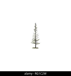 Arbre généalogique dessiné à la main en silhouette style monochrome. Stock Vector illustration, symbole de l'arbre de pin isolé sur fond blanc. Illustration de Vecteur