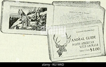 . Journal canadien des forêts. Les forêts et la foresterie -- Canada Périodiques. Journal canadien des forêts 1360, octobre, 191'. Ils fermer pour le déjeuner. Un petit groupe, ils ont chargé de la technique plus d'emplois. Bientôt une usine fera hum dans ce voisinage, comme d'autres font ailleurs, produire son quota complet chaque jour. Ces usines canadiennes ne sont pas seulement nos propres troupes, mais l'Impériale et les troupes françaises. Les Canadiens sont à l'œuvre dans les forêts de hêtre, charme, frêne, chêne, bouleau, cerisier et de châtaigniers, qui tombent devant eux, et, plus étrange, la vue de tous, sont tirés vers le bas par blo Banque D'Images