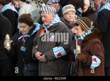 Oswiecim, Pologne. 27 Jan, 2019. Les survivants de l'holocauste et leurs familles portent des bougies pour les plaques commémoratives au mémorial dans l'ancien camp de concentration Auschwitz-Birkenau durant la cérémonie de la Journée internationale de commémoration de l'Holocauste. Crédit : Bernd Thissen/dpa/Alamy Live News Banque D'Images