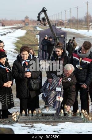 Oswiecim, Pologne. 27 Jan, 2019. Les survivants de l'holocauste et leurs proches place des bougies sur une plaque dans l'ancien camp de concentration Auschwitz-Birkenau durant la cérémonie de la Journée internationale de commémoration de l'Holocauste. Crédit : Bernd Thissen/dpa/Alamy Live News Banque D'Images