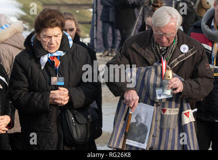 Oswiecim, Pologne. 27 Jan, 2019. Les survivants de l'holocauste et leurs proches place des bougies sur une plaque dans l'ancien camp de concentration Auschwitz-Birkenau durant la cérémonie de la Journée internationale de commémoration de l'Holocauste. Crédit : Bernd Thissen/dpa/Alamy Live News Banque D'Images