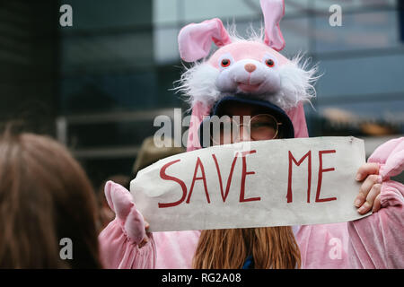 Bruxelles, Belgique. 27 Jan, 2019. Une Fille habillée comme un lapin assiste à un climat mars à Bruxelles, Belgique, 27 janvier 2019. Bruxelles a appelé 'lieu de mars Climate' le dimanche, alors que des dizaines de milliers de personnes ont réclamé le gouvernement belge d'augmenter ses efforts pour faire face au changement climatique. Credit : Zhang Cheng/Xinhua/Alamy Live News Banque D'Images