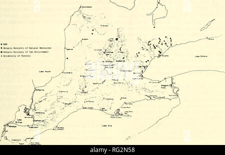 . La Canadian field-naturaliste. 1988 Parker, McKee, et Campbell : Statut du méné long 167 â â RCM Cntario Ministxy¦ des ressources naturelles â ¢ Ministère de l'e^virorment * UniÂ"rsity de Ttironto. La figure 4. Collection de Clinostomus elongatus en Ontario 1980-1985. Il n'y a aucune preuve que Clinostomus elongatus se produit plus dans les comtés de Lincoln et Welland. Le ruisseau Kettleby (drainage du lac Simcoe) population semble stable tout comme le groupe Irvine Creek dans le cours supérieur de la rivière Grand (Holm et Crossman, 1986). Le Gully et Meux creek populations de la Huron sy Banque D'Images