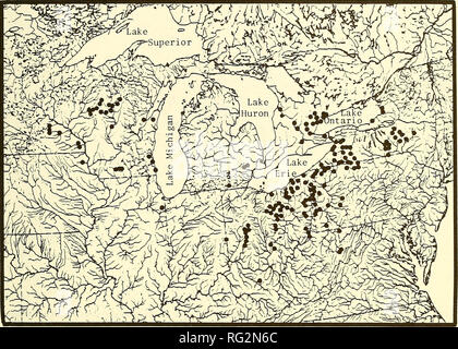 . La Canadian field-naturaliste. 1988 Parker, McKee, et Campbell : Statut du méné long 165. La figure 2. Répartition nord-américaine de l'espèce [adapté de Gilbert (1980)]. les bassins hydrographiques. Wainio et Hester (1973) ont trouvé l'espèce répandue dans la rivière Humber, mais pas en nombre suffisant pour être considérée comme commune, alors que Parker et McKee (1980) ont signalé que, où l'espèce capturée, comptaient pour 1-78 % de tous les poissons capturés. Holm et Grossman (1986) a trouvé les espèces présentes dans le bas frequncies dans leurs collections 1985. Parker et McKee (1980, 1981), a indiqué que l'espèce avait Banque D'Images