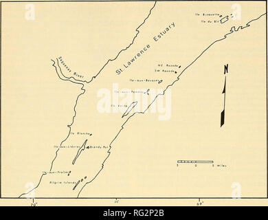 . La Canadian field-naturaliste. 164 Le Canadian Field-Naturalist Vol.. La figure 2. Site de l'estuaire du Saint-Laurent, l'actuelle zone d'étude. îles et côtes adjacentes, dans l'estuaire et du golfe du Saint-Laurent (Figures 1 et 2). Méthode et observations au cours de la période de 1963 à 1972 données ont été col- gistrement par Reed (1973) sur le nombre estimé d'eiders nicheurs dans la plupart des colonies de l'île de l'îles de Kamouraska à Ile-du-Bic. En outre, des observations sur la taille des couvées ont été faites par chaque fois que Reed nest recensements ont été effectués, et com- données comparative sont disponibles à un programme intensif de stu Banque D'Images