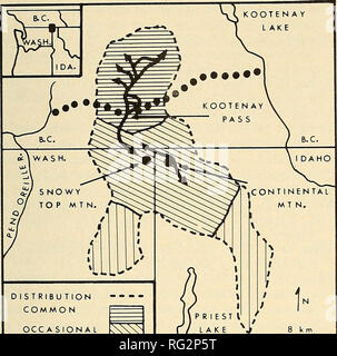 . La Canadian field-naturaliste. 1979 Note 73. La DISTRIBUTION COMMO N ^ ^ MOUVEMENT RARE OCCASIONNELLE H IGH WA Y • • • • La Figure I. La Distribution, la fréquence d'occurrence, et les itinéraires de circulation connus, Caribou Selkirk 1972-1974. déplacé vers le bas dans la forêt de cèdre-pruche pour éviter l'approfondissement de la neige en altitude et à la recherche de nourriture sur la végétation. Comme la neige accumulée. Cari- bou monta sur le forêt de sapin-épinette à fourrager sur lichens arboricoles, et puis de nouveau descendus à faible altitude au printemps. Bien que les déplacements des caribous Selkirk sont apparemment plus variable, les deux populations freq Banque D'Images