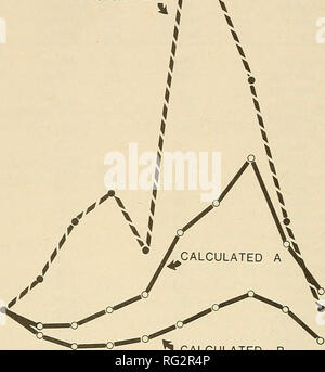 . La Canadian field-naturaliste. 164 Le Canadian Field-Naturalist Vol. 92 35 30---^^t observé m CO 25- o u. O DC LU m 20- 15- 10-. 1966 1968 1970 B CALCULÉ 1972 1974 Figure 2. Comparaison des tendances observées et calculées dans les numéros de Grand-duc à Rochester. Une tendance calculée est fondée sur le recrutement de jeunes à l'envol à la population de Rochester, la survie après l'envol estimée à partir des données régionales, et l'hypothèse que d'un an et les adultes se reproduisent avec la même fréquence. B tendance calculée sur l'hypothèse que la fréquence moyenne d'élevage est de 1 an 0,36 que d'adultes (s Banque D'Images
