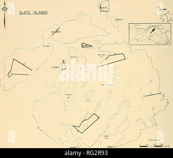 . La Canadian field-naturaliste. La Canadian Field-Naturalist Vol.90 o LEAOMAN ÎLES SLATE. La figure l. Carte des îles Slate indiquant l'emplacement des transects utilisée pour échantillonner le caribou des bois de sciage des groupes. Il n'y a pas de documents qui indiquent que le caribou des bois existaient sur les îles avant 1907, en 1907, D. King (communication personnelle) a passé l'hiver sur les îles et énormément chassés pour le caribou durant la première partie de l'hiver. Il ne pouvait pas trouver un de ces animaux. En mars 1907, il déclare toutefois des pistes de caribou sur la glace menant de la terre ferme. Les animaux sont à l'e Banque D'Images