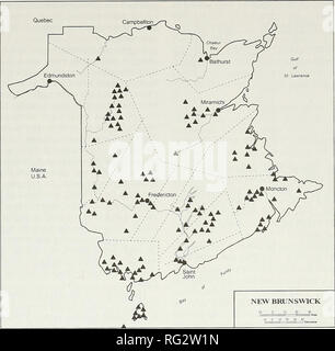 . La Canadian field-naturaliste. 2000 : l'alimentation de l'Hivernage Stocek Pygargue à tête blanche 607. La figure L'hivernage la distribution générale des observations d'alimentation de Pygargues à tête blanche, 1992-1999, au Nouveau-Brunswick. De nombreux endroits représentent un certain nombre de sites d'alimentation. classe a été enregistrés étaient des aigles adultes (tableau 2). L'importance de cerfs dans le régime alimentaire des deux adultes et immatures était évidente. Une différence notable dans l'utilisation de la nourriture était la plus grande utilisation des abats par les immatures. En fait, 71  % des articles pris par les jeunes oiseaux ont été mangées deer et les abats. De 32 attaques de chasse vu sur l'eau, huit oiseaux côtiers Banque D'Images