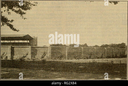 . La Canadian field-naturaliste. Février, 1926] Le Canadian Field-Naturalist 25. Fig. 3-photo du nord-est de la clôture montrant l'habitude de l'asymétrique ivy plantes. Il convient de noter que les plantes indiquées à droite de la photo, au nord, sont symétriques alors que ceux à gauche sont certainement très asymétrique et en pente vers le nord. ressort de la position de la structure, à son tour se termine au nord et le sud, fig. 1. que la lumière du soleil tôt le matin va frapper le côté est clôture à environ un angle droit et que le faisceau incident sera Banque D'Images