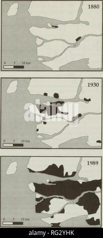 . La Canadian field-naturaliste. L'histoire naturelle. 424 Le Canadian Field-Naturalist Vol. Ill. Figure 2. La progression historique de la perte d'habitat dans le sud-ouest de la Colombie-Britannique (de l'Oke et al. 1992). moins de 6250 km2 dans le sud-ouest de la Colombie-Britannique. Dans notre enquête de terrain, nous avons pris seulement trois personnes dans trois sites différents sur un total de 55 sites et 19 810 nuits-pièges. Les trois sites ont plus de 35 km les uns des autres sans l'habitat continu entre eux. Tous les sites ont été à l'intérieur de la sa- distribution historiques de l'espèce (Figure 1). Deux sites étaient situés au nord du fleuve Fraser R Banque D'Images